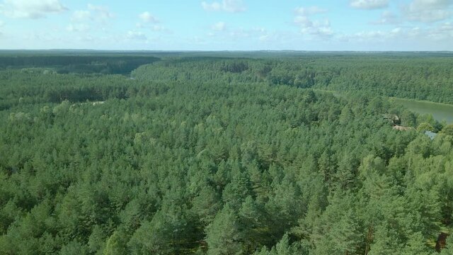 Slow Aerial fly over a dense green leafy deciduous forest of Kowalskie Blota , Poland, forward motion, drone shot, beautiful cloudscape, can see Okierskie lake