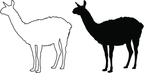 silhouette of a llama