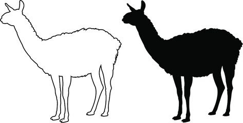 silhouette of a llama © Vladimir