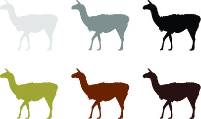 illustration of a llama
