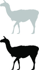 silhouettes of llama