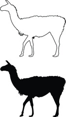 silhouette of a llama