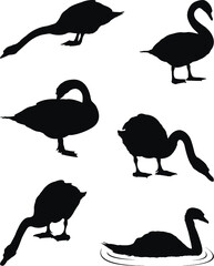 set of silhouettes of swans