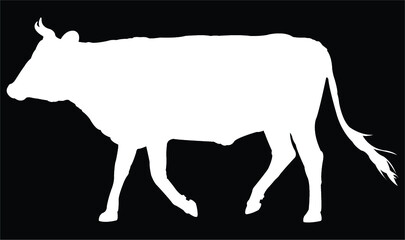 silhouette of a cow