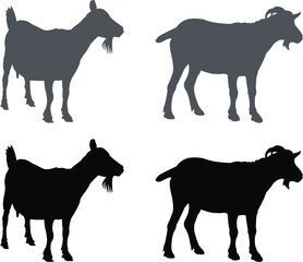set of goats animals