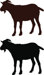 silhouette of a goat