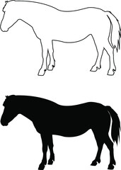 silhouette of a horse