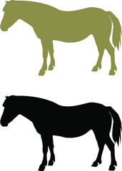 silhouette of a horse