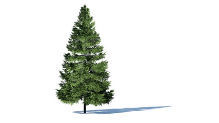 Hi-Resolution Beautiful 3D christmas Trees Isolated on white background , Use for visualization in architectural design