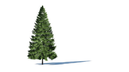 Hi-Resolution Beautiful 3D christmas Trees Isolated on white background , Use for visualization in architectural design