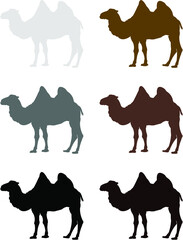 set of camel silhouettes
