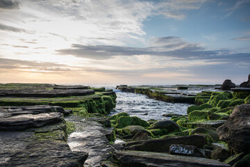 Rocks covered with green moss on the coastline with lapping waves at sunrise