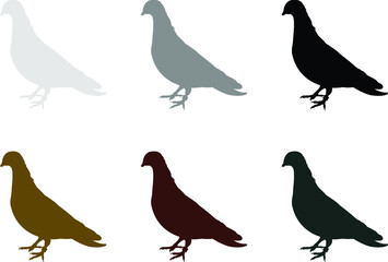 set of pigeons