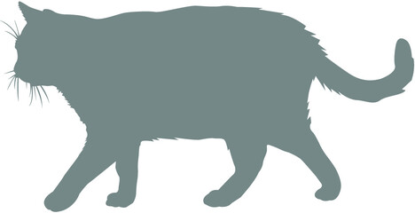 illustration of a cat silhouette