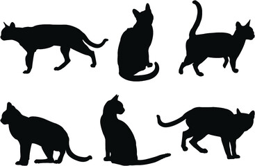 set of cats silhouettes