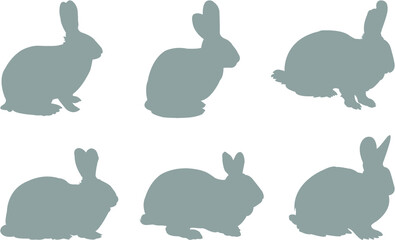 set of rabbits