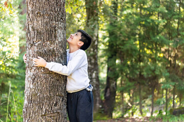 A child hugging a tree