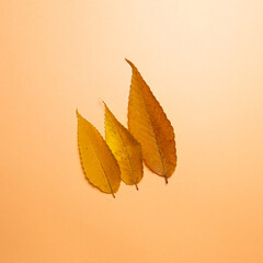 Autumn dry leaves on orange background. flat lay, top view, copy space