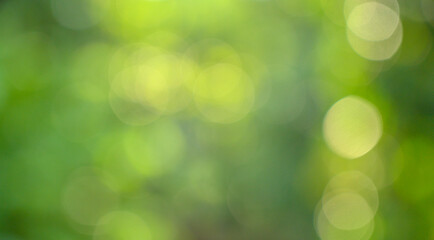 Bokeh blur green background