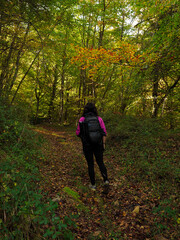 Obraz premium young woman walking in the forest with a backpack