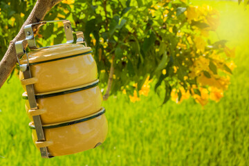 Fototapeta premium Zinc coated food carrier in Thailand countryside, beautiful natural farm atmosphere in the morning