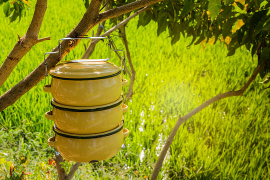 Zinc coated food carrier in Thailand countryside, beautiful natural farm atmosphere in the morning © Takorn
