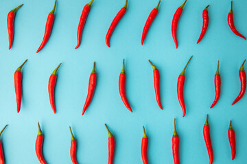 hot red chili, on blue background