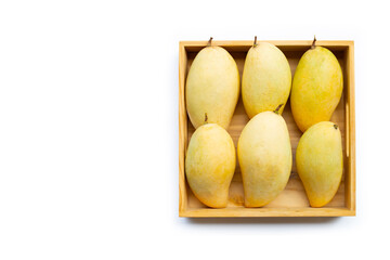 Tropical fruit, Mango  in wooen box on white background.