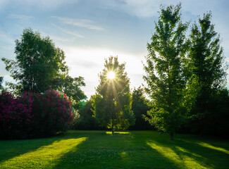 Natural landscape with a view of a beautiful Park and trees
