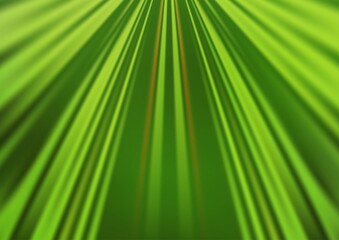 Fototapeta premium Light Green vector pattern with narrow lines.