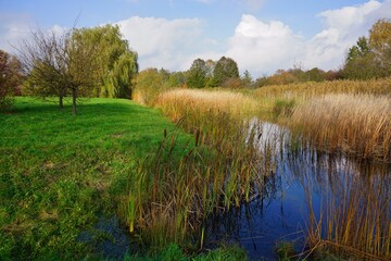 Beautiful autumn landscape - small pond in the autumn park - autumn in park - golden autumn