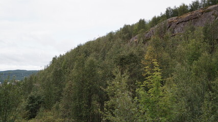 Northern tundra forest view from the hills in Kola peninsula