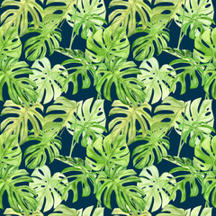 Fototapeta premium Watercolor illustration seamless pattern of tropical leaf monstera. Perfect as background texture, wrapping paper, textile or wallpaper design. Hand drawn