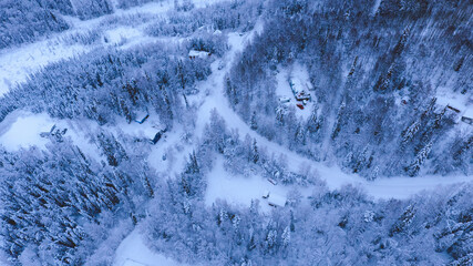 Aerial Winter forest after snow at sunset, Fairbanks, Alaska