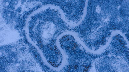 Aerial Winter forest after snow, Fairbanks, Alaska