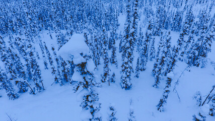 Aerial Winter forest after snow, Fairbanks, Alaska