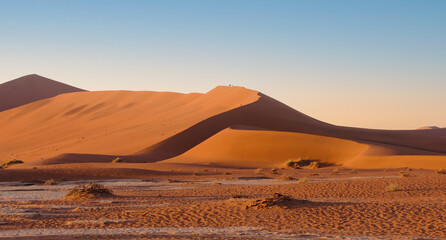 Fototapeta na wymiar dunes in sossusvlei with wind shapes the sand dunes, Namibia arid wilderness landscape