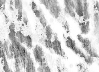 Watercolor Animal Artistic Zebra. 