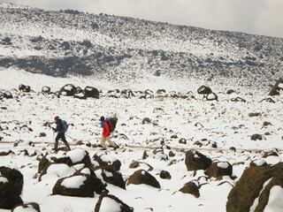 Mt. Kilimanjaro hike via Lemosho route