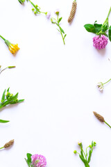 Background material of the wild flower and wild grass. 野花と野草の背景素材