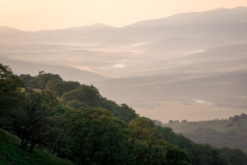 Early morning just after sunrise. Silhouettes of mountains in the morning haze, tree branch in the foreground. Alpine summer landscape.