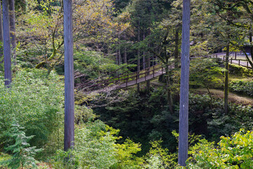 福井県池田町のかずら橋