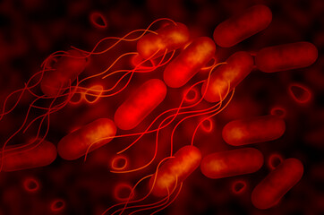 大腸菌（O-157） © Paylessimages