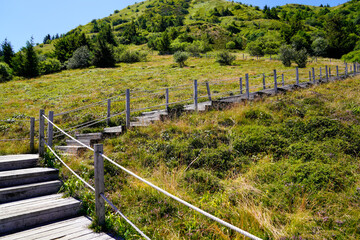 walking pathway in puy-de-dome french mountain chain volcano in summer day