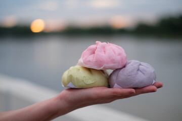 delicious steam bun pork sweet