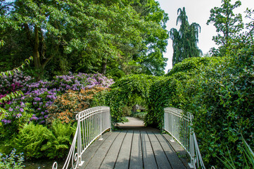 Botanical gardens Trompenburg Rotterdam
