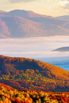 thick fog over the rural hills in morning light. dramatic Carpathian countryside autumnal scenery