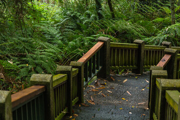台湾　日月潭の遊歩道沿いの景色