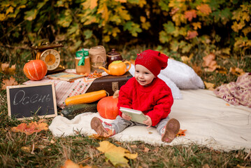 a child is sitting on a blanket against a maple tree with a book. In autumn, the baby walks in nature. Warm autumn. Photo zone for an autumn photo shoot. A child with a book. 