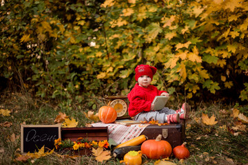 a child in a red Cap and sweater sits on a suitcase against the background of autumn leaves and autumn locations. Autumn photo shoot with a child. The child holds a book and looks at the camera.